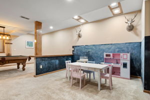 Basment Rec Room