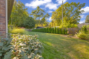private back yard