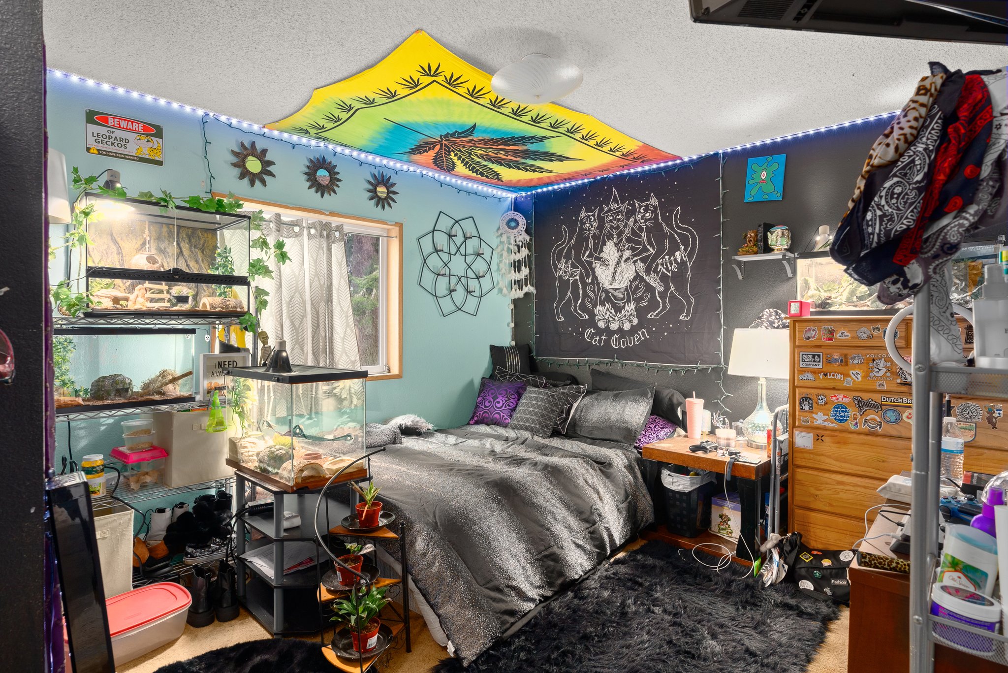 504 Brockway Rd, Chehalis, WA 98532, USA Photo 50