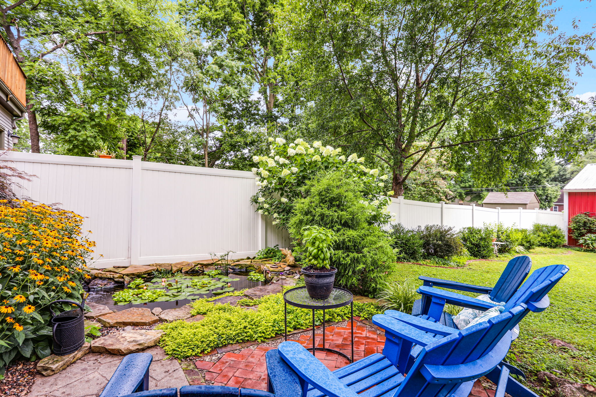 Back Yard