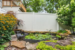 Pond