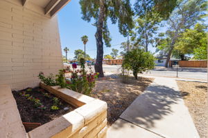 Flower boxes at the front entrance