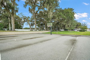 Basketball Court