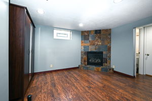 Family Room - Lower Level