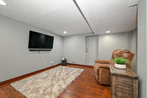 Family Room - Lower Level