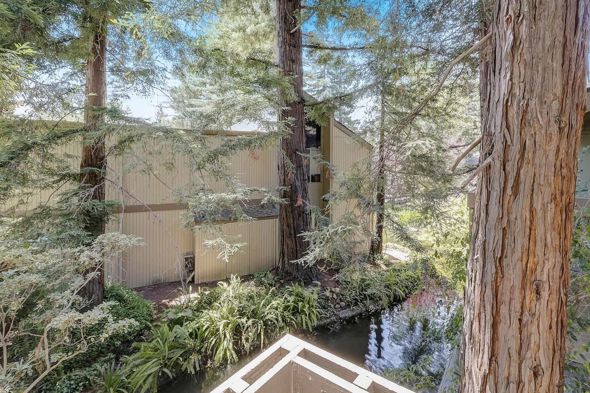 Cypress Point Dr-041