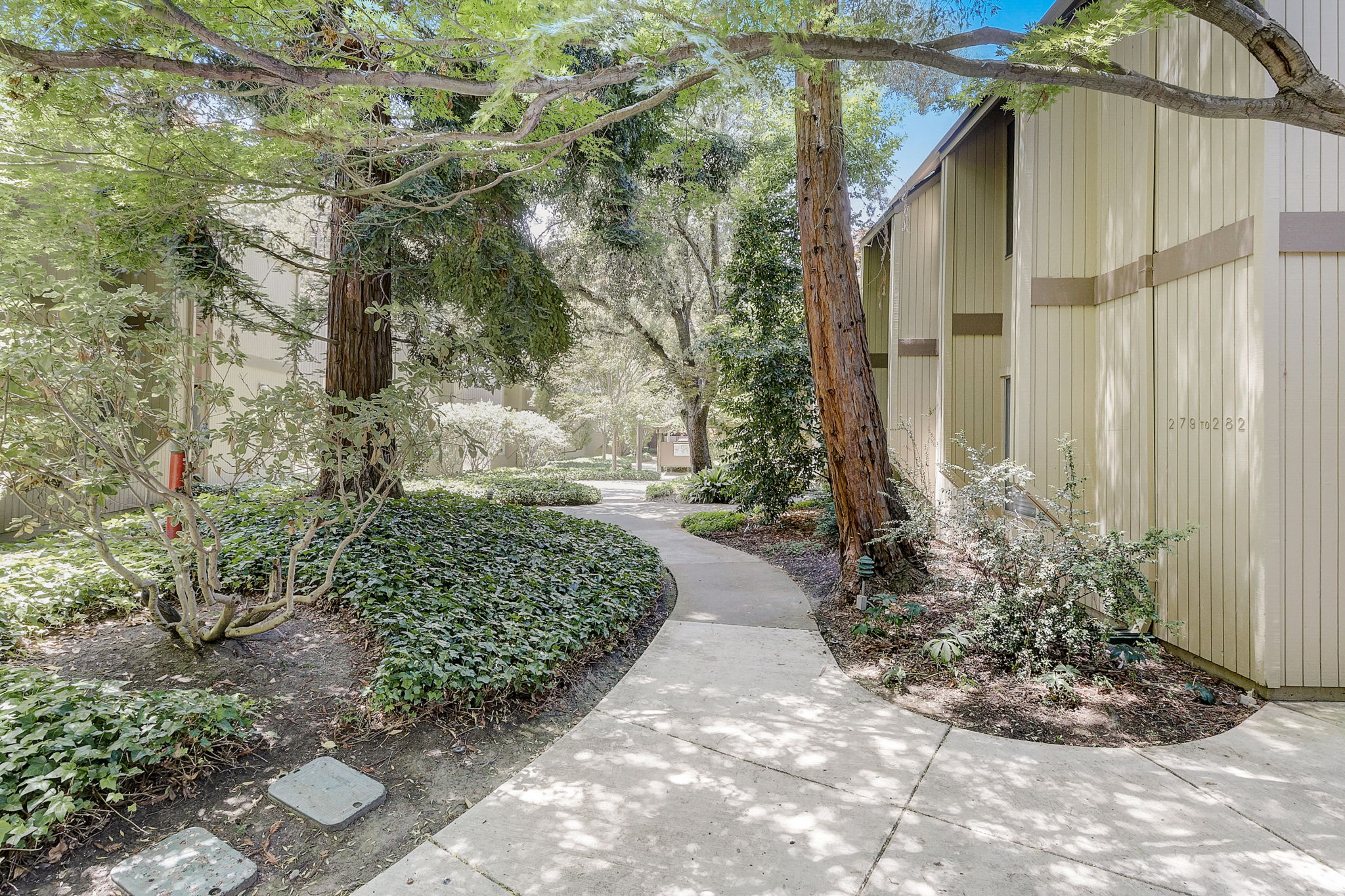 Cypress Point Dr-006