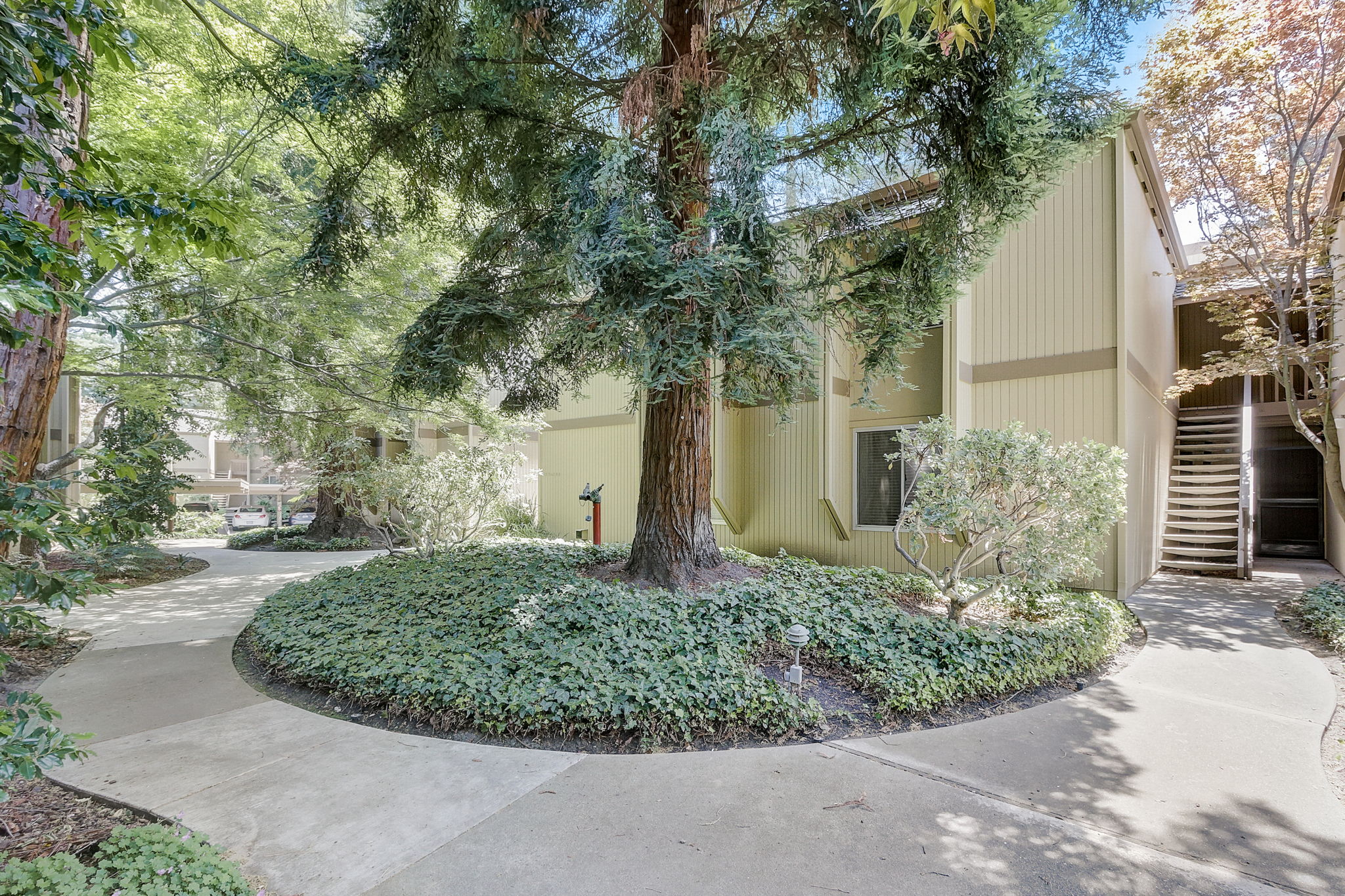 Cypress Point Dr-002
