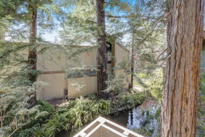 Cypress Point Dr-041