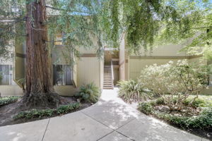 Cypress Point Dr-004