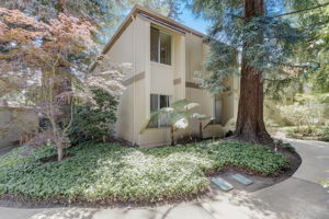 Cypress Point Dr-003