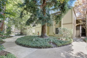 Cypress Point Dr-002