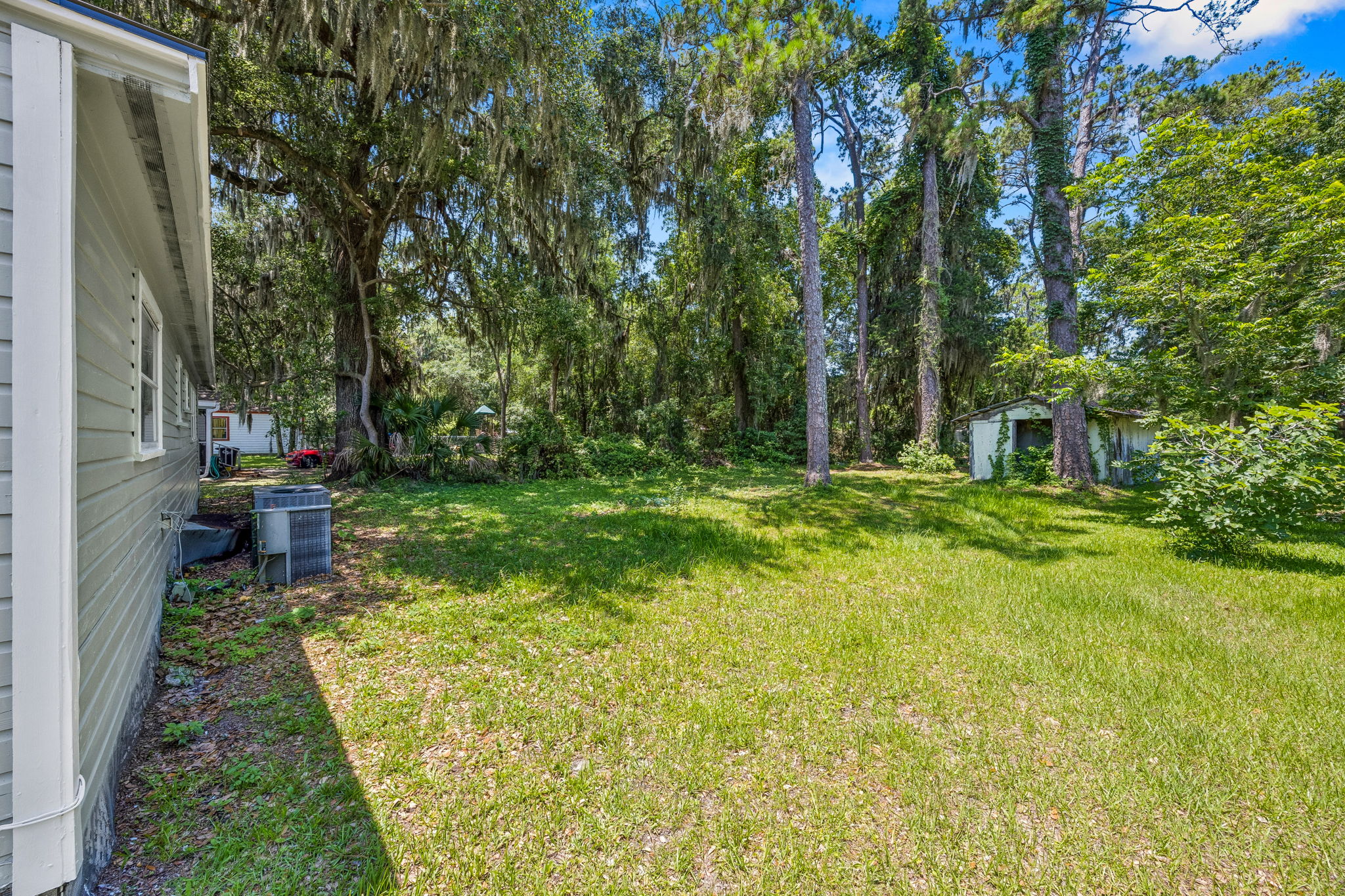 Backyard