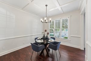 Pinnacle Ct-S3004-020.jpg