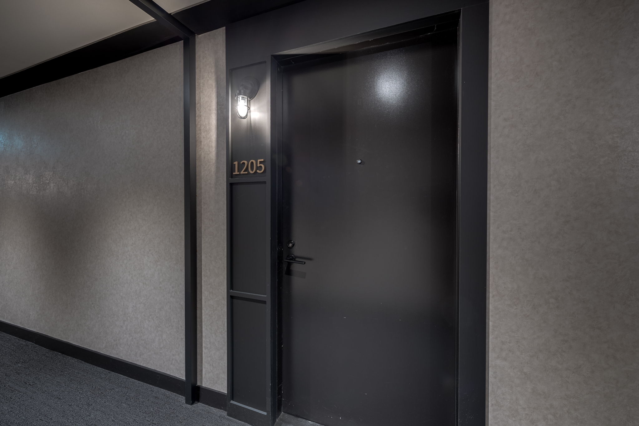 Toronto property showcase — delivered property photograph 4