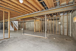  Photo 50