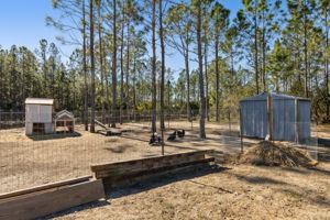 Chicken Coop