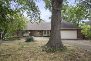  Photo 0