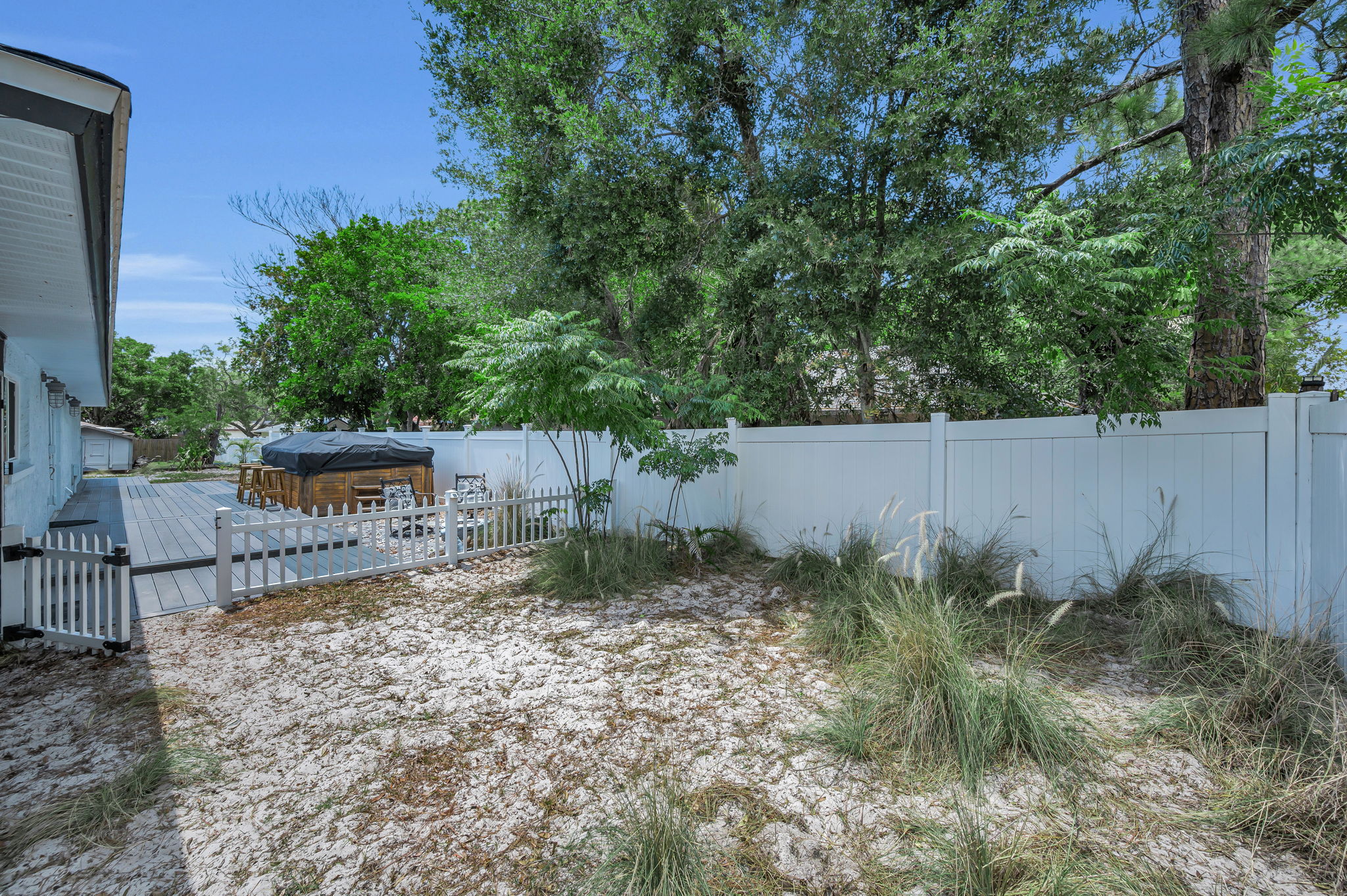 Backyard3