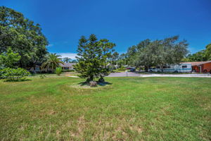 Frontyard