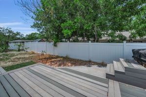 Backyard6