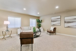 Basement Family Room