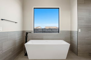 Primary Bathroom (3)