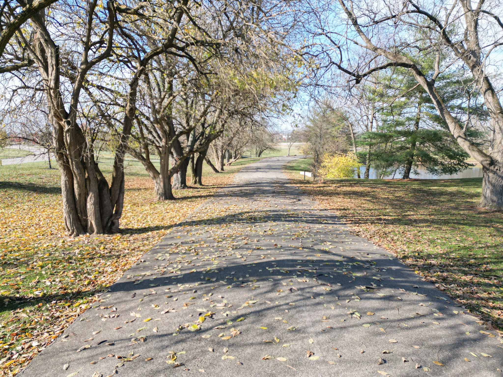 5057 Maiden Way_CincyPhotoPro_DRONE-0261