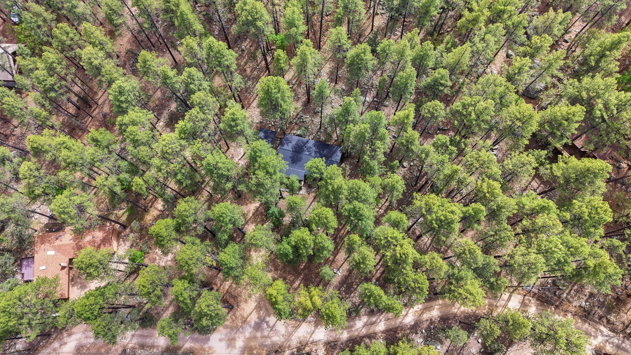 Birds Eye