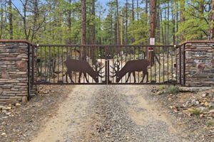Front Gate