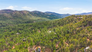 Aerial (1)