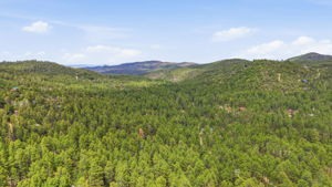 Aerial (2)