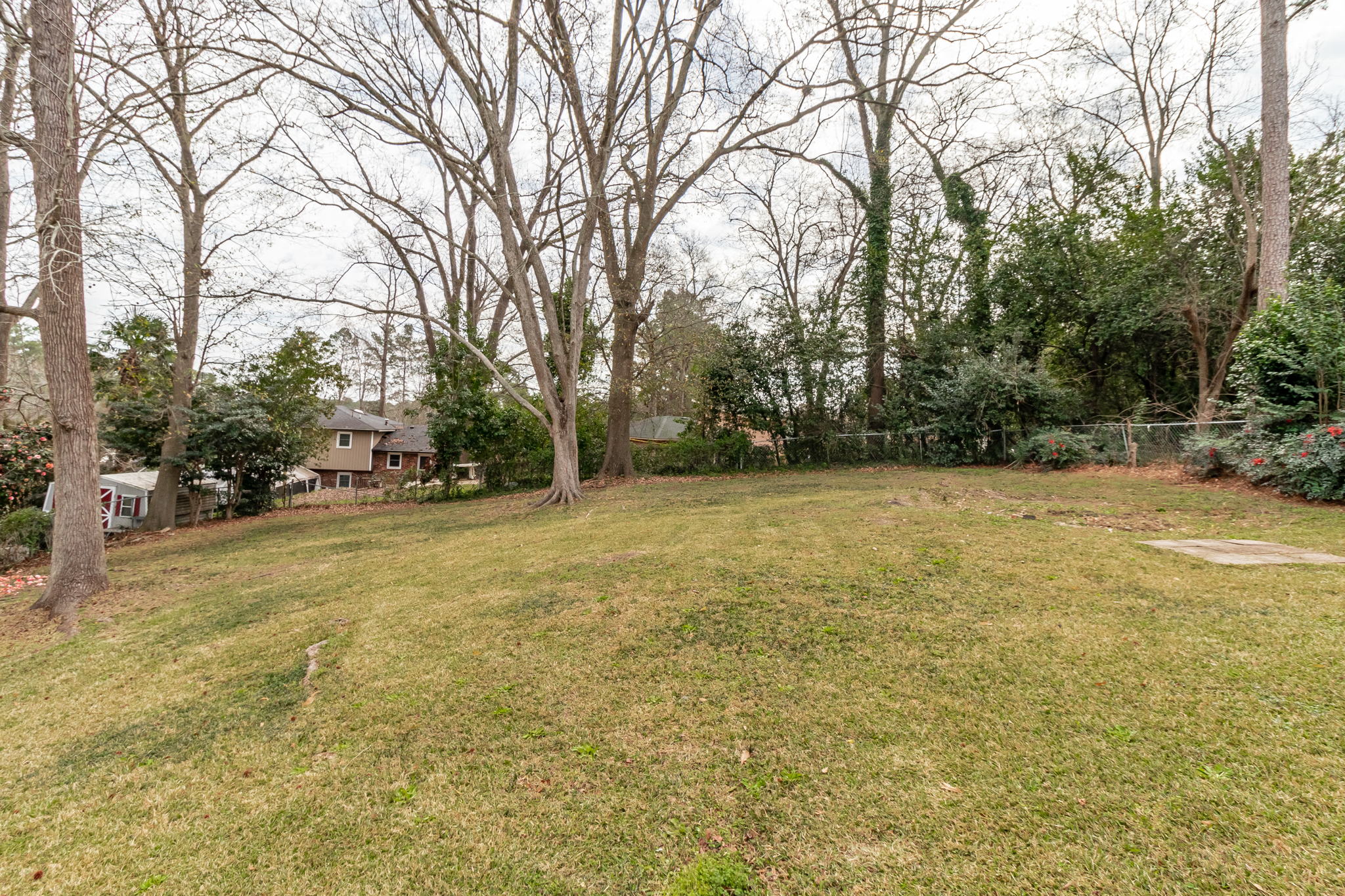 Back Yard