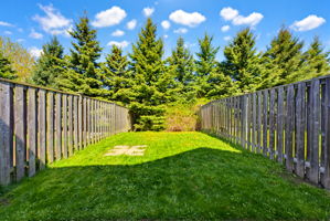  Photo 34