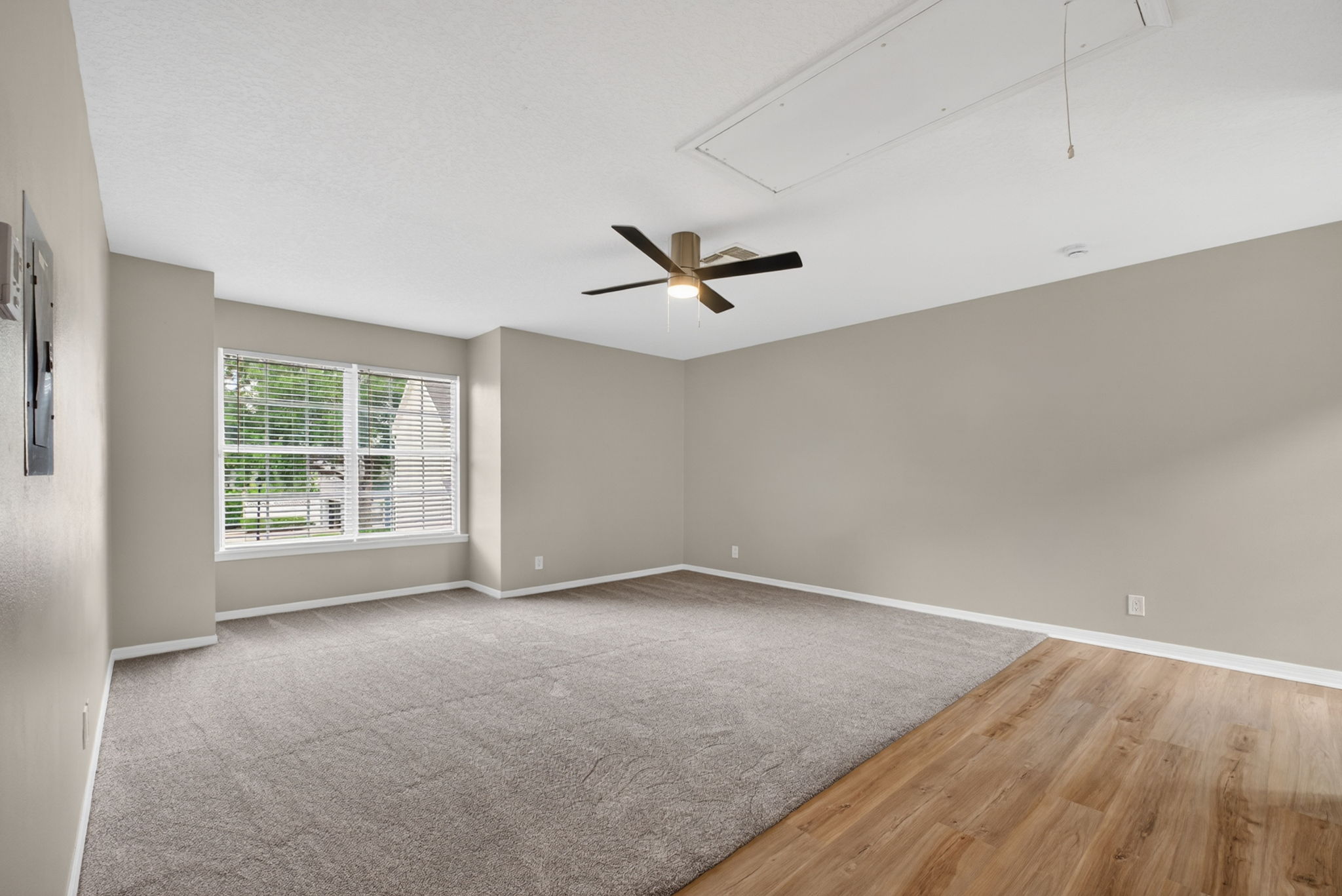  Photo 97