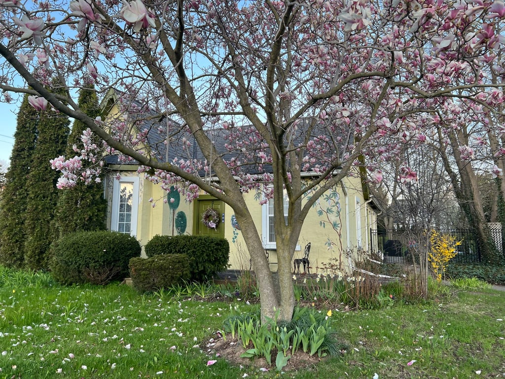 506 Mississagua St