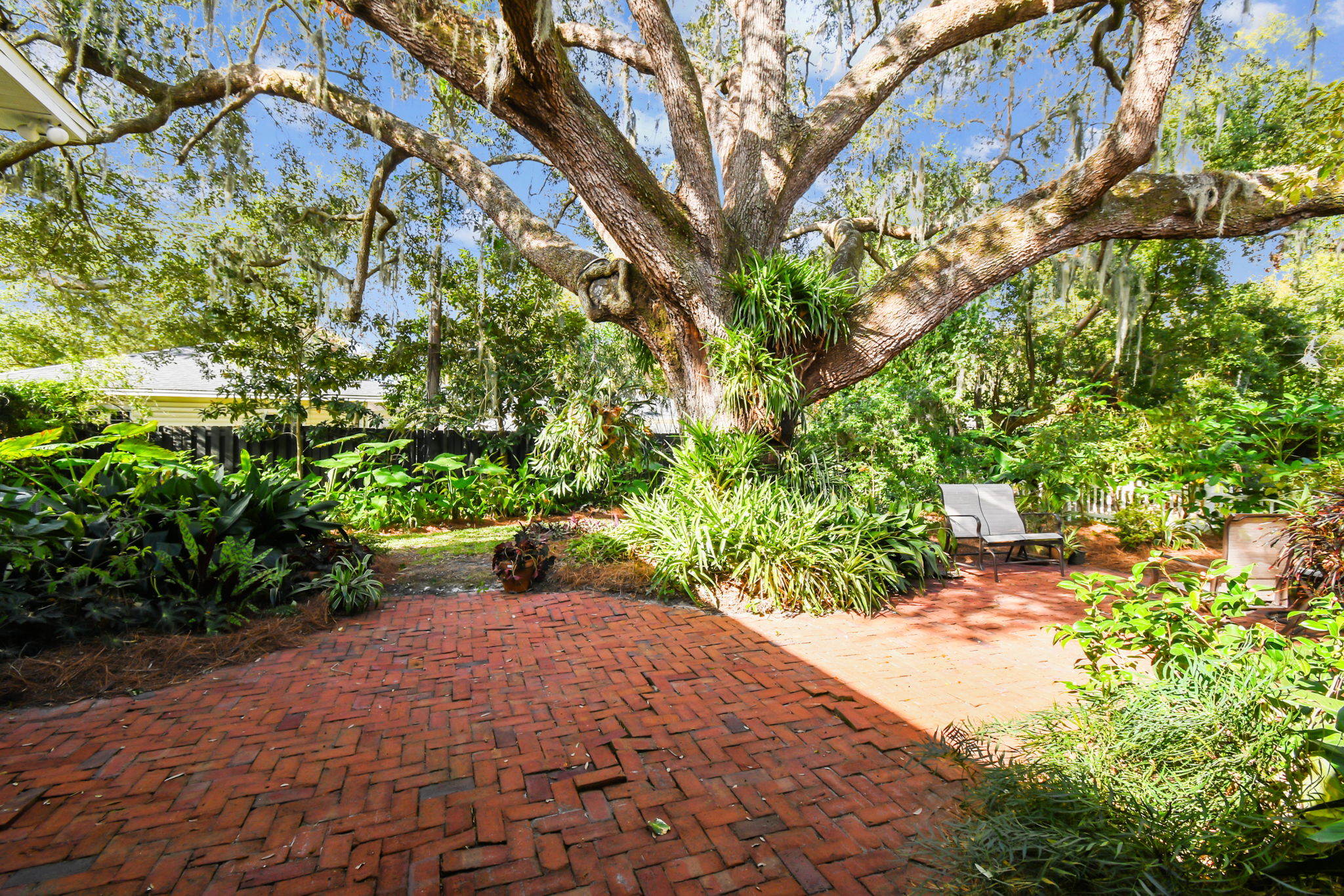 Grandaddy live oak provides lots of shade