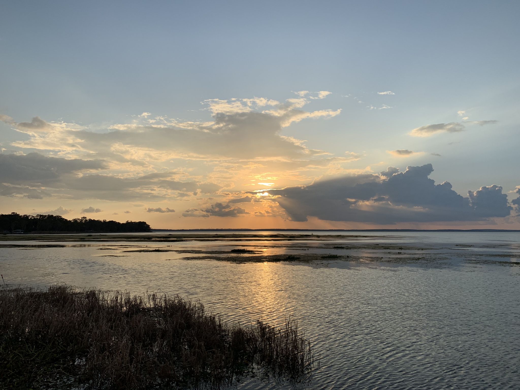 Lake Apopka Sunset