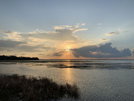 Lake Apopka Sunset