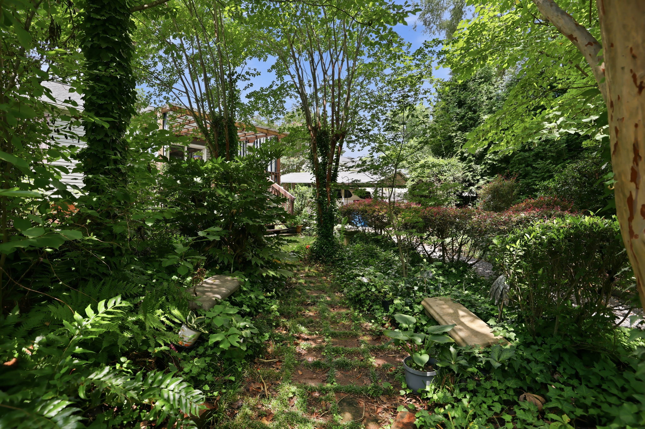 Photo 28