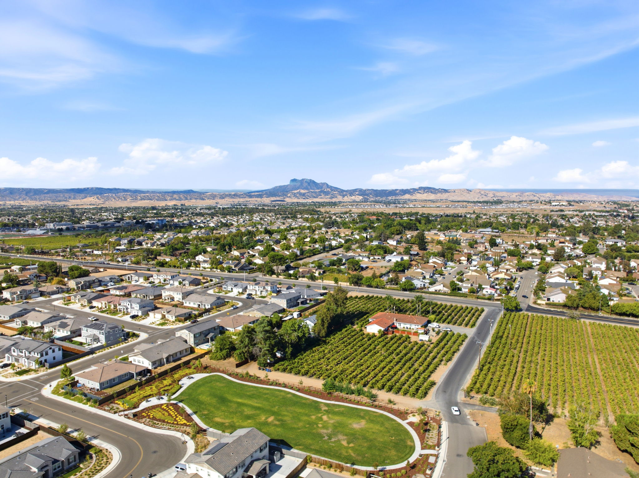 005_F8_AERIAL_5060 Grapevine