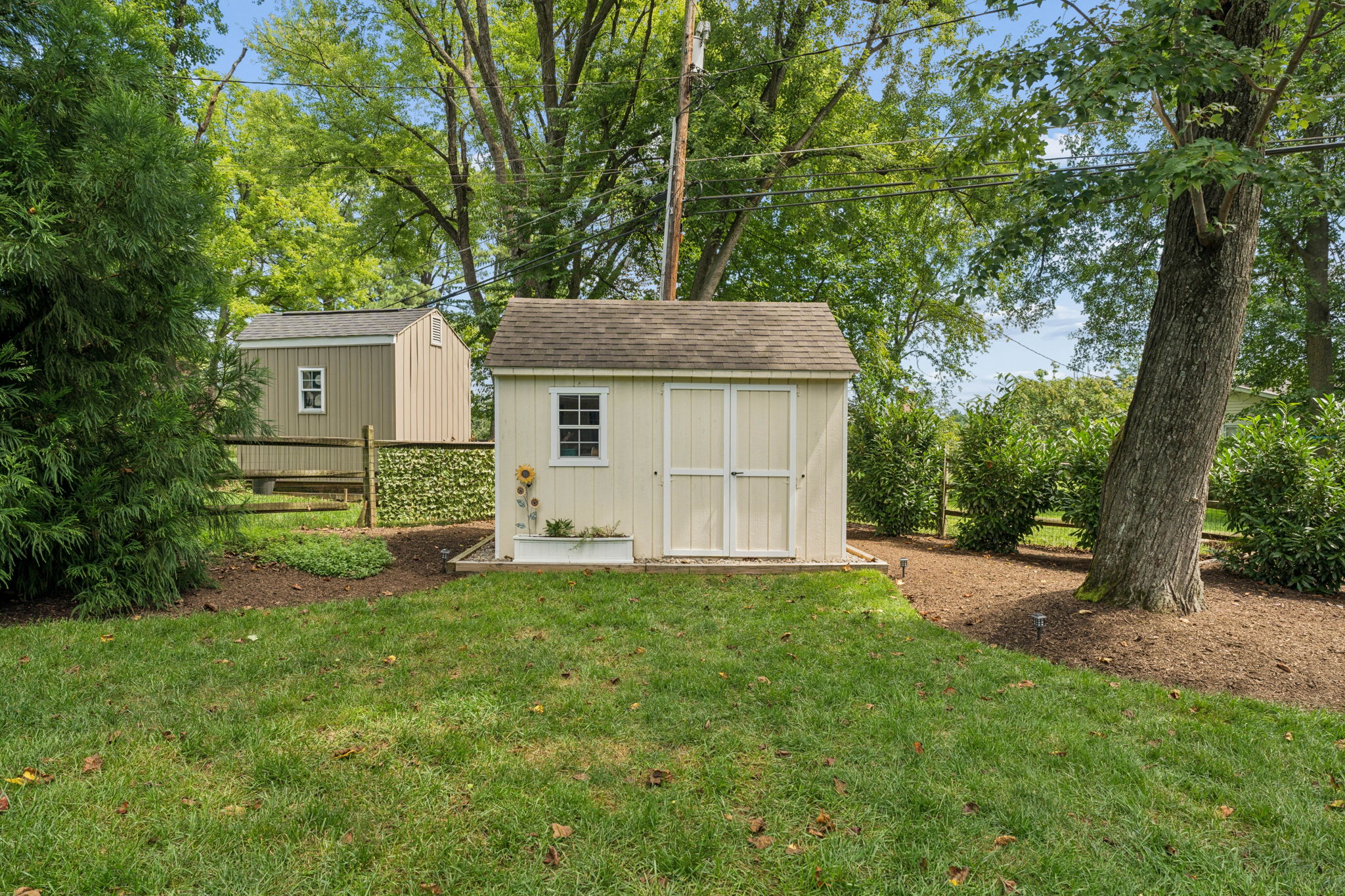 Shed