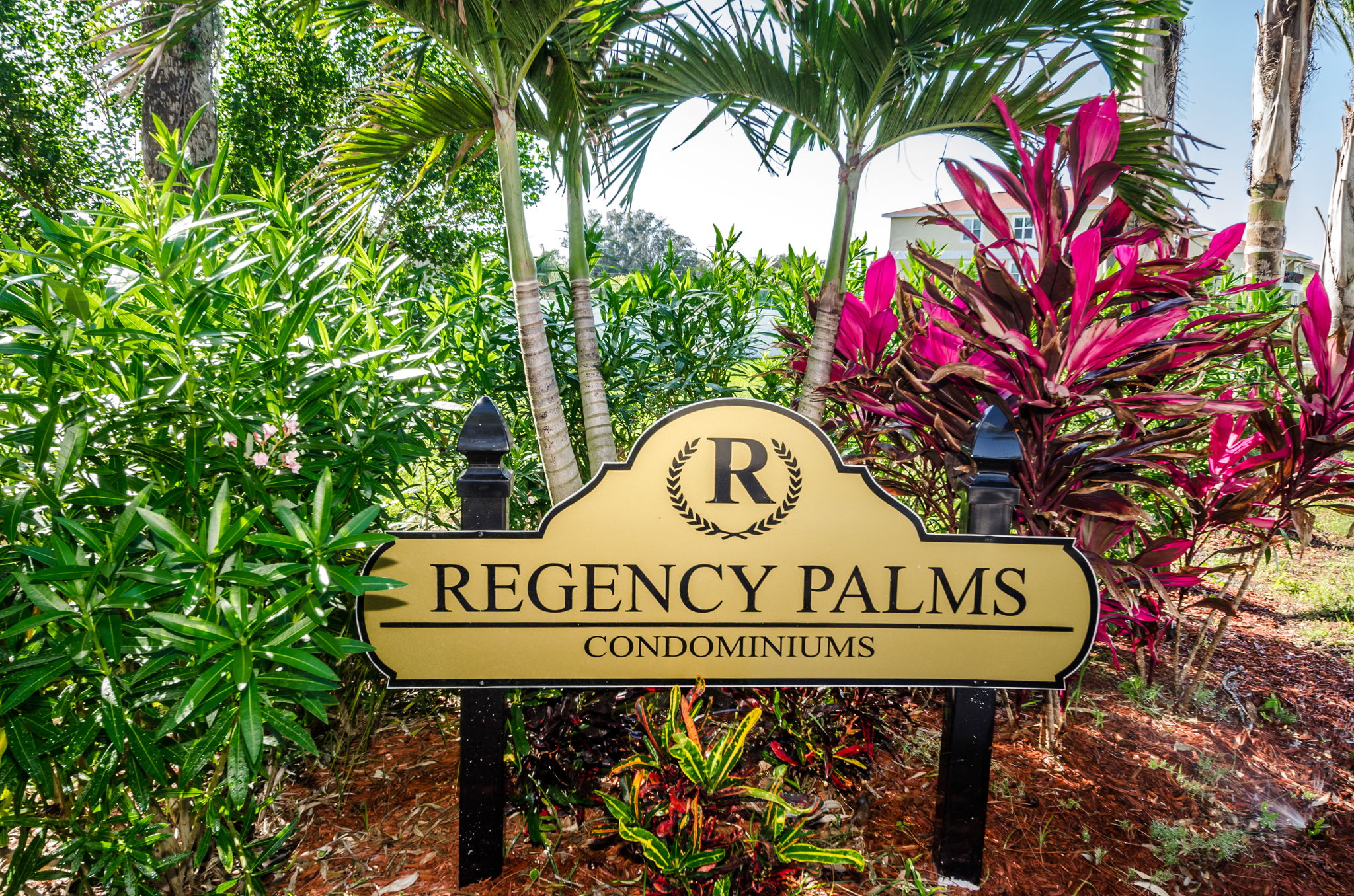 1-Regency Palms