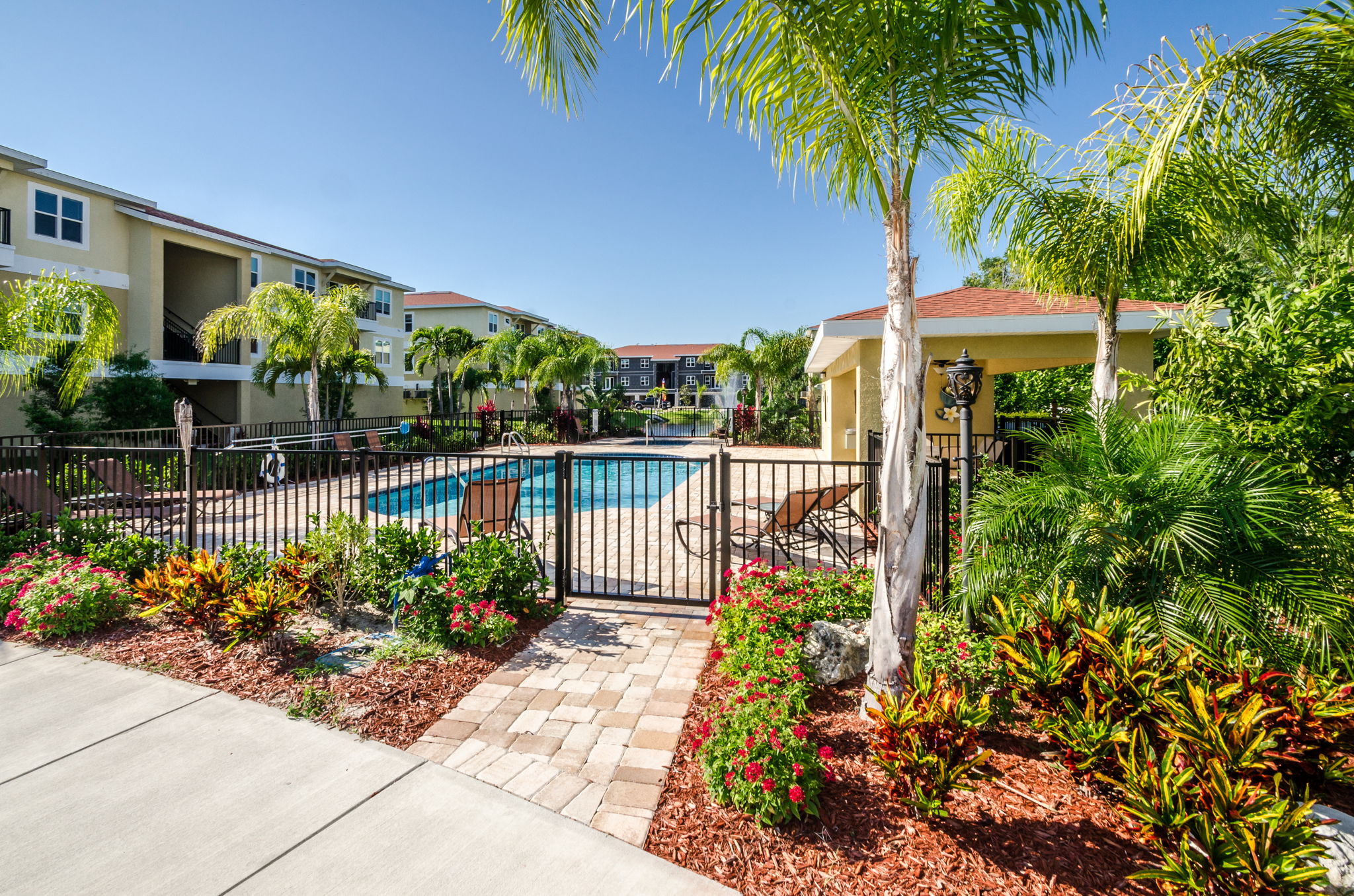 4-Regency Palms Pool