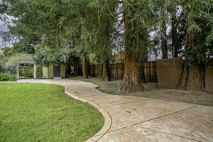  Photo 41