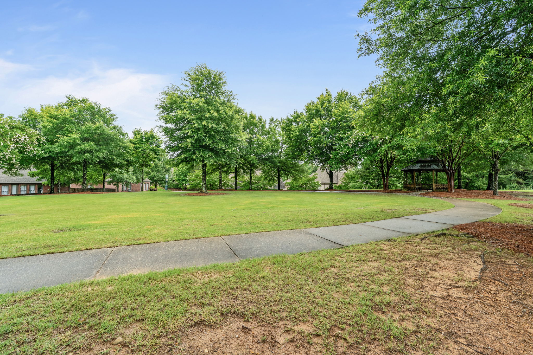 Green Space Behind The house