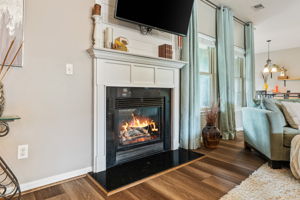 Gas Fireplace