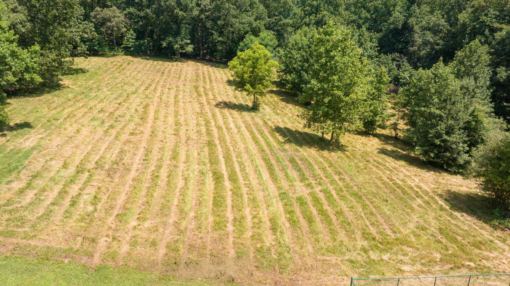 Image-37