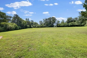 Image-34