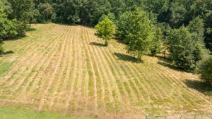 Image-37